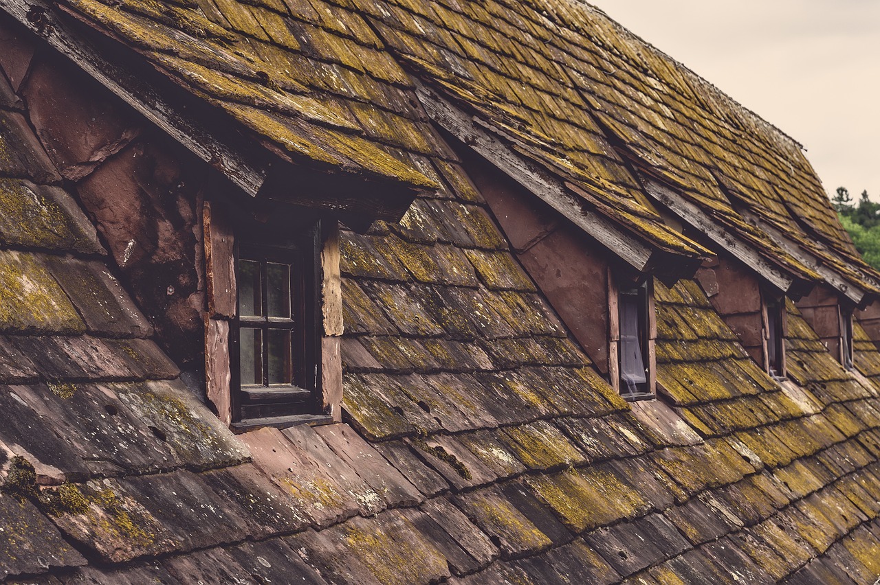 roof, shingles, old-4275783.jpg